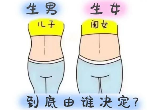生男生女誰(shuí)決定，受到哪些因素影響呢?