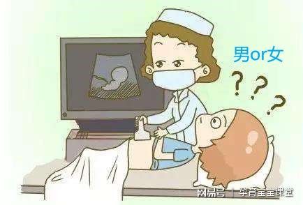 香港驗(yàn)血女孩還翻盤嗎(去香港驗(yàn)血是男孩,有翻女孩的寶媽嗎
