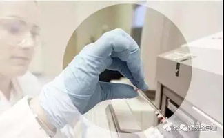 香港驗(yàn)血抽哪個部位的血(怎么改變胎兒性別) 