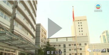 香港驗(yàn)血是騙局新聞嗎(央視香港驗(yàn)性別騙局,香港驗(yàn)血是不是