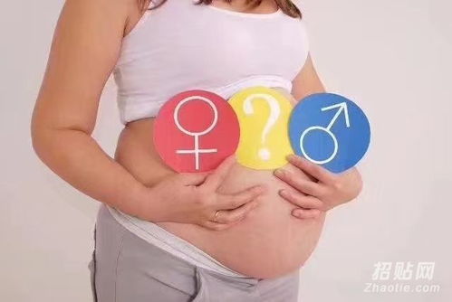 香港驗(yàn)血查男女曝光(去香港驗(yàn)血知男女多久才能驗(yàn)出) 