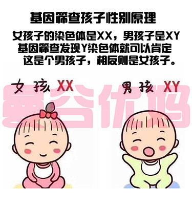 試管嬰兒去香港驗血可以嗎(為什么感覺現(xiàn)在多數(shù)人生的男嬰,