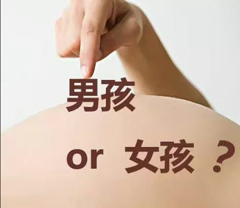靠譜的DNA檢測安排查驗保證