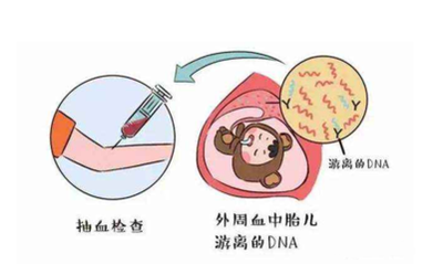 高效的查驗(yàn)性別規(guī)范無(wú)需赴港