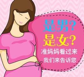 女兒遺傳爸爸哪些地方