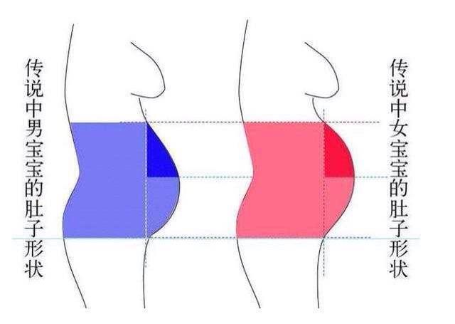 專業(yè)的DNA判定服務(wù)權(quán)威機(jī)構(gòu)