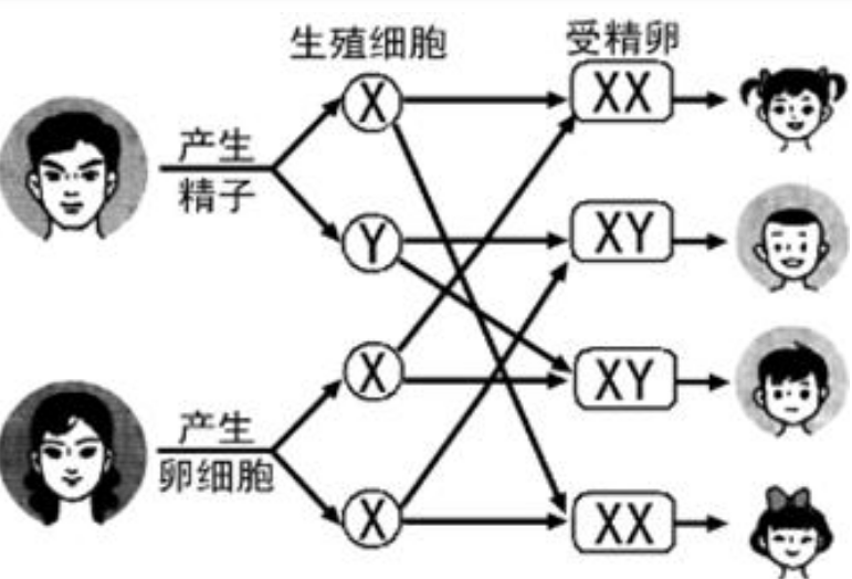 香港孕媽媽驗(yàn)血精確嗎？費(fèi)用是多少錢?寶媽親身經(jīng)歷告知你