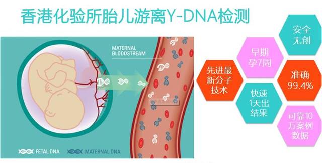 高效的驗血測性別中心權威機構